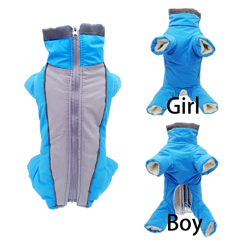 Winter Clothing In French - الشتاء كلب الملابس سترة دافئة للغاية