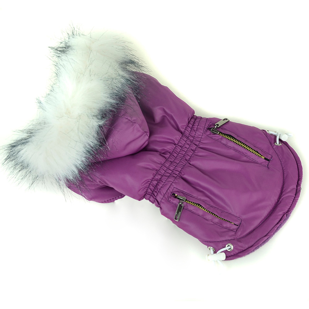 ملابس شتوية للكلاب معطف دافئ م - مراجعة Winter Clothing In French وسعره