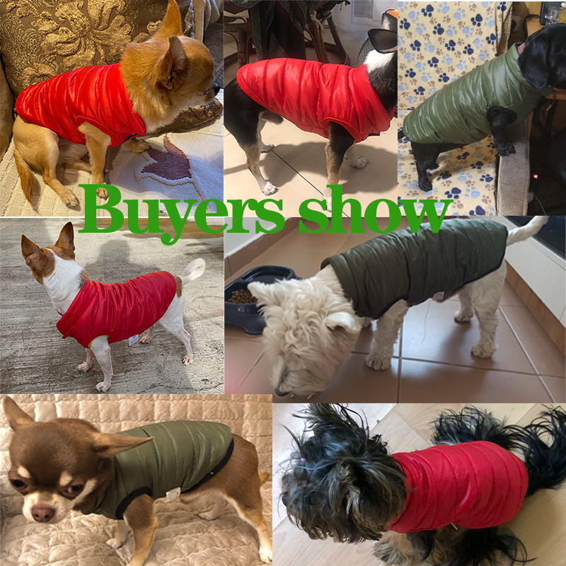 سترة دافئة للكلاب، ملابس للكلا - مراجعة Winter Clothing In French وسعره