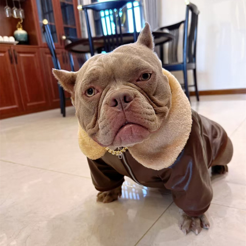 الصلصال الكلب معطف سترة الشتاء - مراجعة Winter Clothing In French وسعره