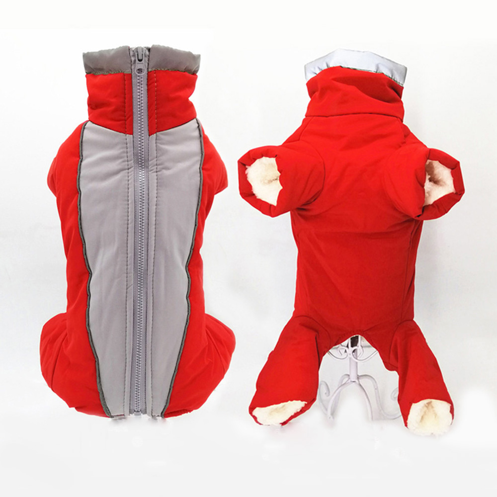 الشتاء كلب الملابس سترة دافئة  - مراجعة Winter Clothing In French وسعره